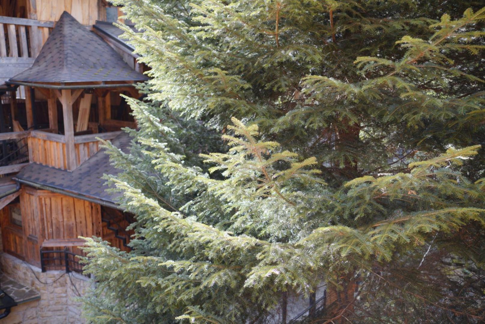 Садиба Nad Prutom Yaremche Luaran gambar